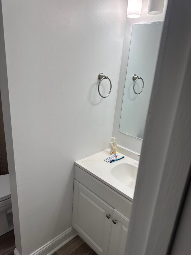Bathroom Remodel Without Shower in Lexington